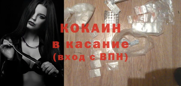 шишки Беломорск