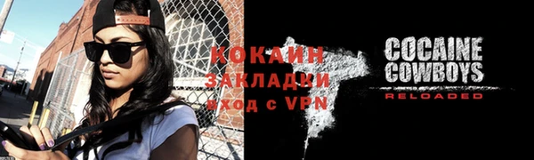 шишки Беломорск