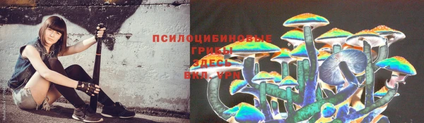 эйфоретик Богородск