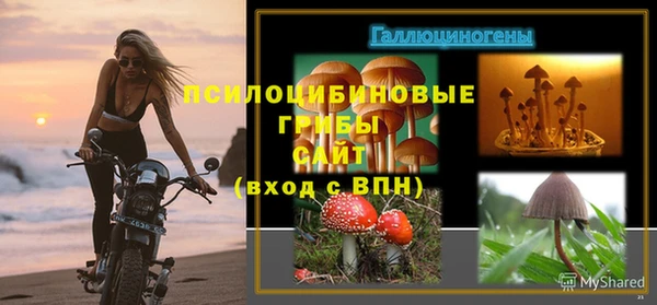 кокаин Белокуриха