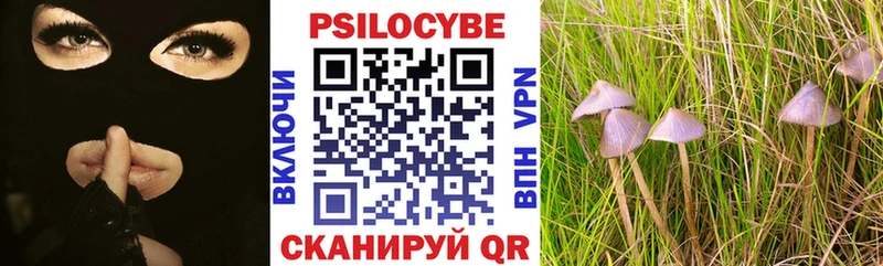Псилоцибиновые грибы прущие грибы  Балтийск 